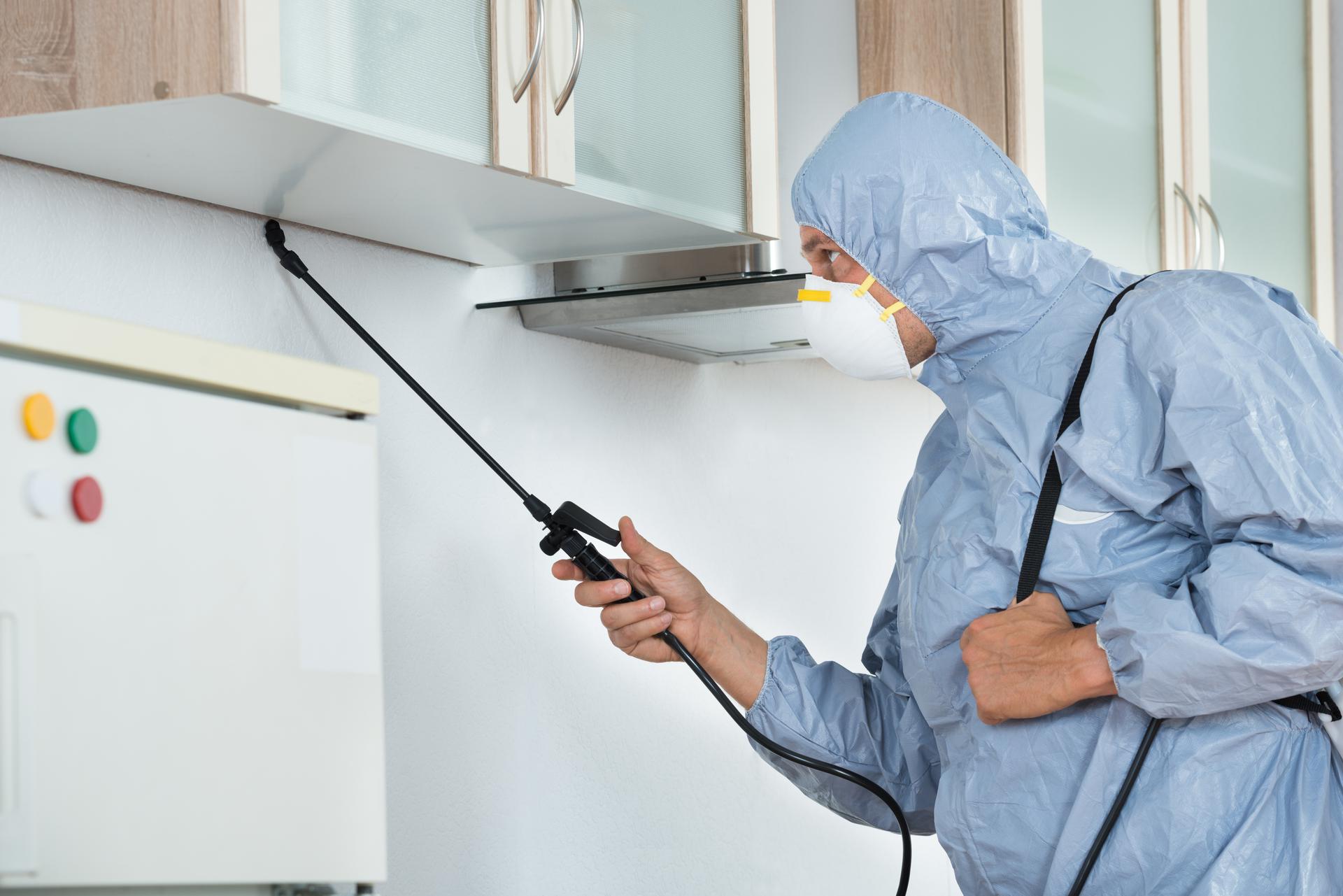 Pest Control Cleaning